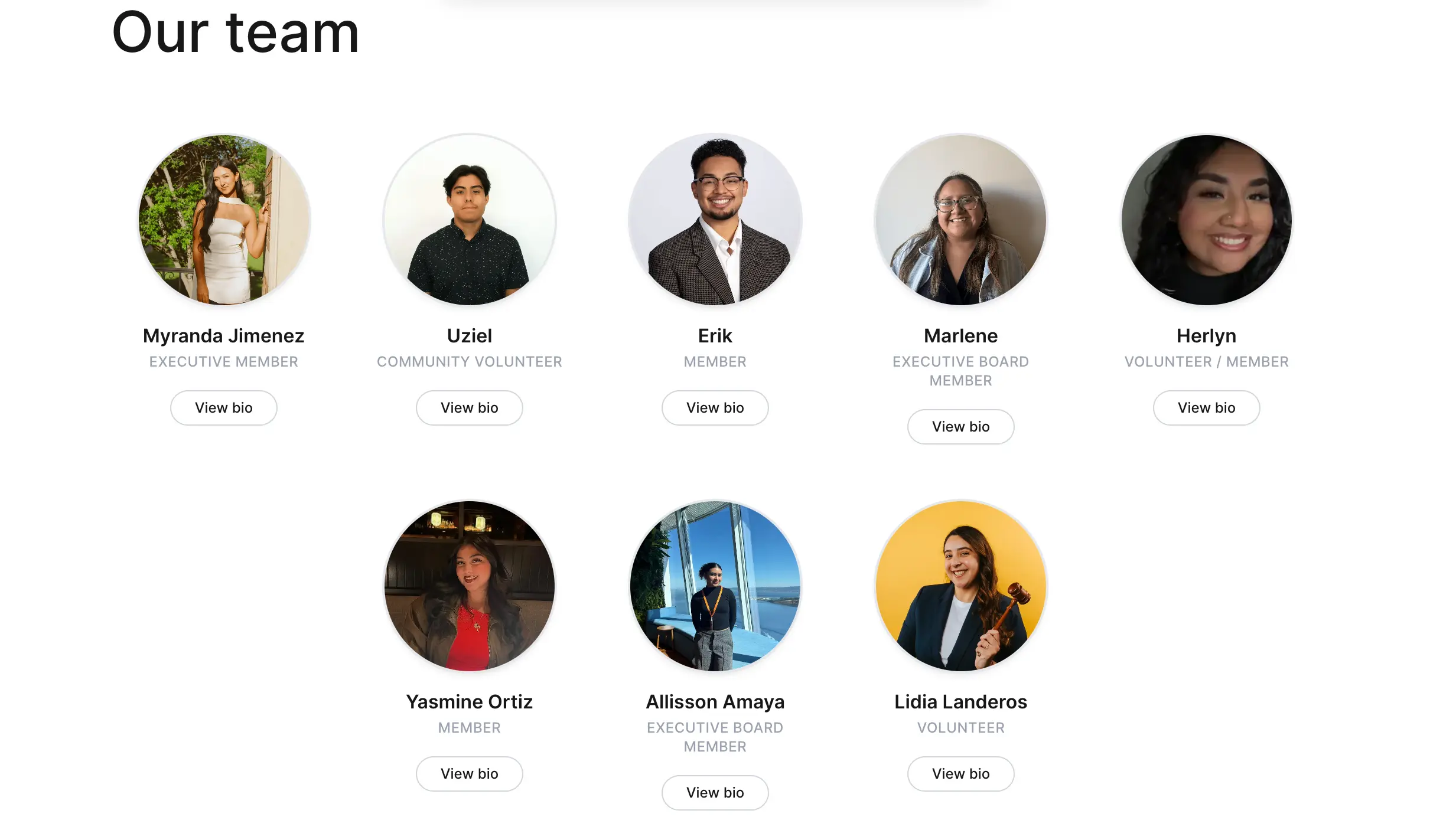 Our Team section showing circular member cards